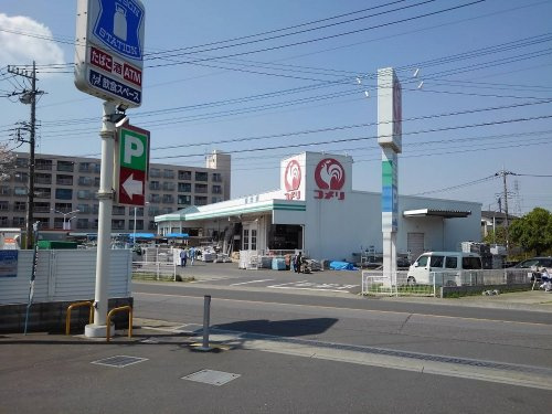 の画像