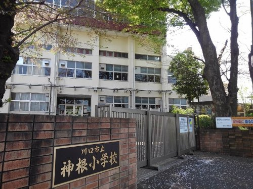 の画像