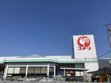 コメリハード&グリーン関宿店