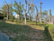 八ヶ上西緑地公園の画像