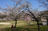 楠葉東公園