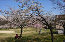 楠葉東公園