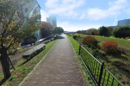 東高瀬川 遊歩道(竹田醍醐田町付近)の画像1
