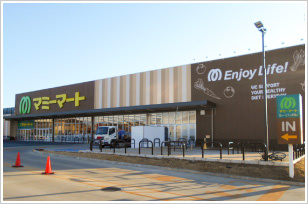 マミーマート野田山崎店の画像1