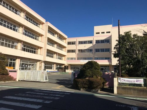 の画像