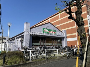 サイゼリヤ 綱島樽町店の画像1