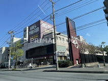 BIG YOSUN(ビッグ ヨーサン) 樽町綱島店