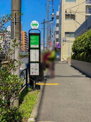 方南八幡通りバス停(渋谷駅前行)