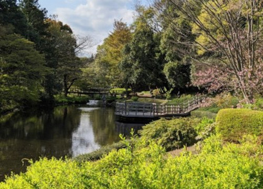 道保川公園の画像1