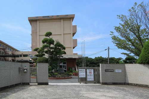 の画像