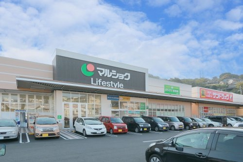 の画像