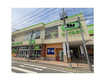コープみらい コープ指扇店の画像1