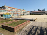 名古屋市立白金小学校