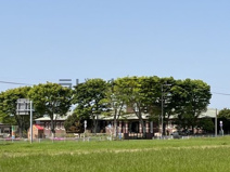 やすひさ幼児園