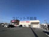 コスモス三股店
