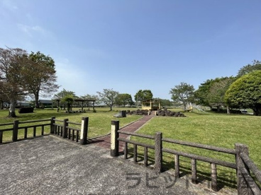 新馬場公園の画像1