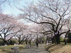 栄緑道の画像1