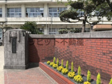 妻ケ丘中学校