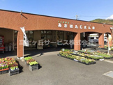JA静岡市 あさはたじまん市