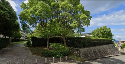 きつね塚緑地の画像1