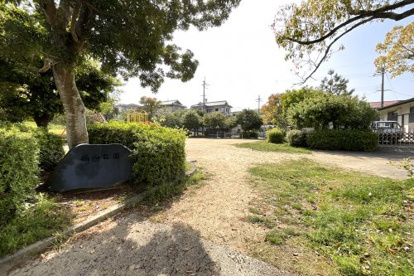 ぐみ谷南公園の画像2