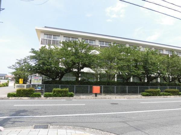 の画像