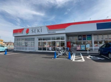 ドラッグストア セキ 鴻巣生出塚店の画像1