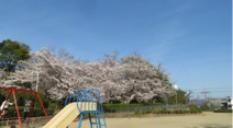東中振中央公園