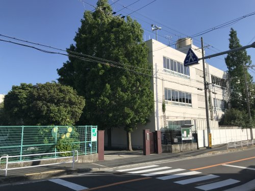 の画像