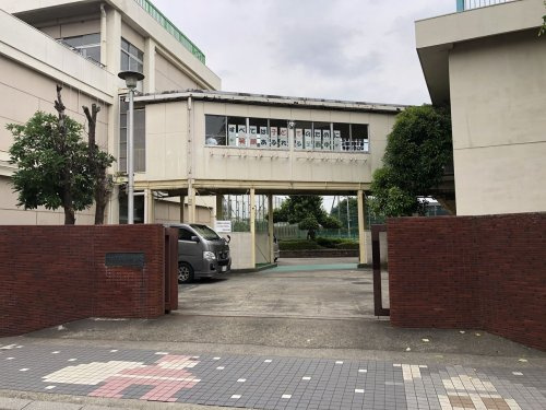 の画像