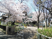 文京区立白山公園