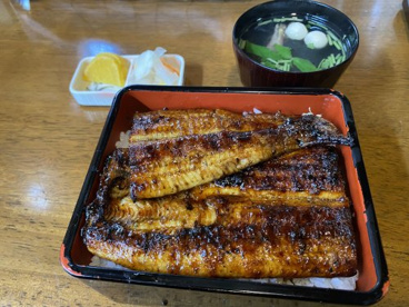 うな富士の画像3