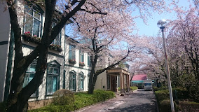 順天堂大学医学部附属順天堂越谷病院の画像1