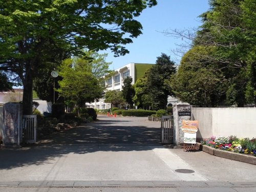 藤沢中学校の画像