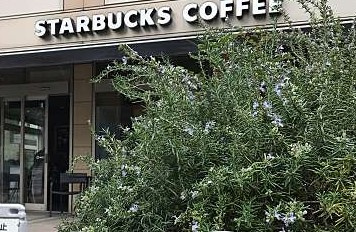 スターバックスコーヒー 白金高輪店の画像1
