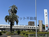 都城