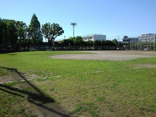 の画像