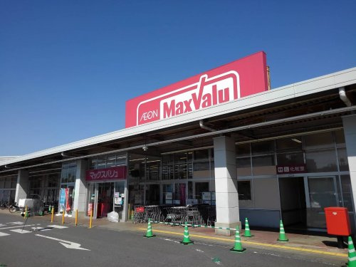 の画像