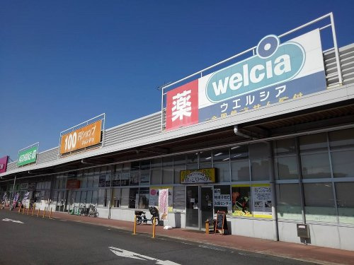 の画像