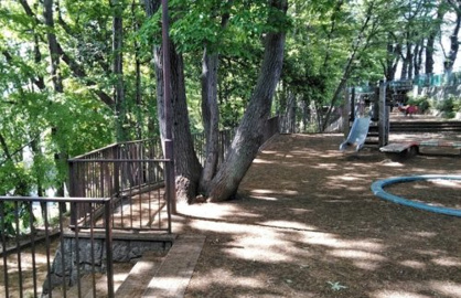 真ん中公園の画像1