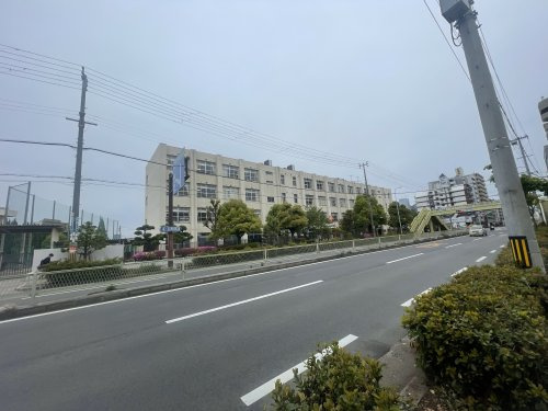 大阪市立新北野中学校の画像