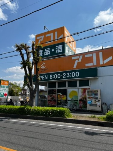 の画像