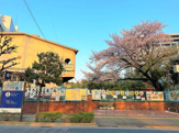 文京区立後楽幼稚園