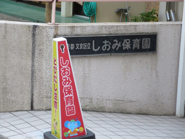 文京区立しおみ保育園の画像2