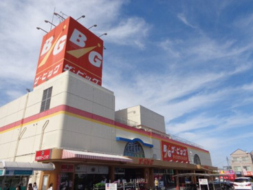 ザ・ビッグ宮内店の画像2