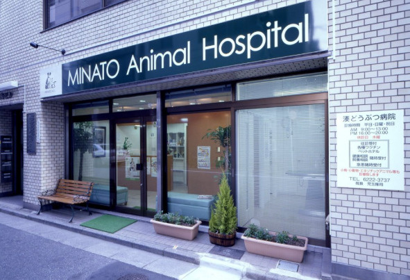 湊どうぶつ病院