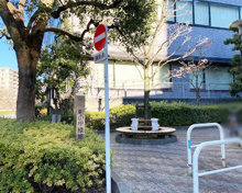 亀の甲緑地