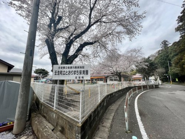 とおりまち保育園の画像1