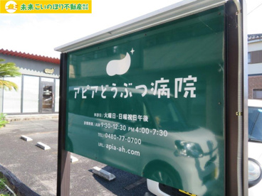 アピアどうぶつ病院の画像2
