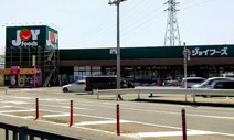 ジョイフーズ 高崎上佐野店
